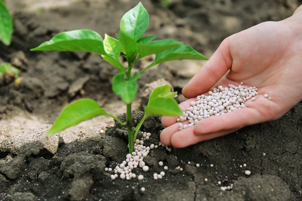 FERTILIZERS & HERBICIDES
