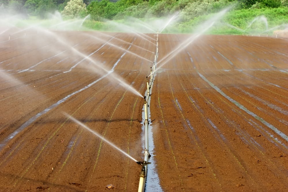 IRRIGATION